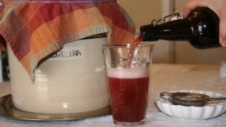 How to Make Fizzy Kombucha at Home [upl. by Landsman221]