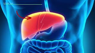 Liver Function Tests Explained  Results Explained eg ALT AST Etc [upl. by Nyliahs]