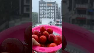 How To Make Jam 💝 cooking [upl. by Stodder]