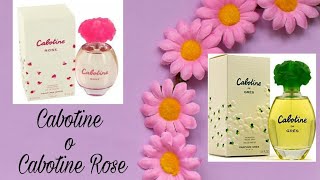 Cabotine o Cabotine Rose [upl. by Clo]