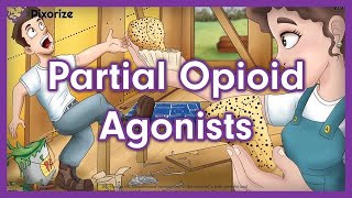 Partial Opioid Agonists Mnemonic for USMLE [upl. by Starr]