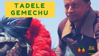 ETHIOPIA Tadele Gemechu  BarriHindarba Ethiopian Music Video 2017 [upl. by Suzanne]