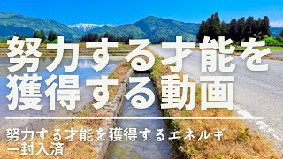 努力する才能を獲得する動画 聞き流すだけでOK [upl. by Krm]