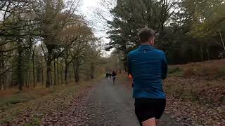 Wyre Forest parkrun 26th November 2022 [upl. by Tracay90]