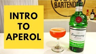 Intro to Aperol Cocktail Recipe by Audrey Saunders Pegu Club [upl. by Akceber]