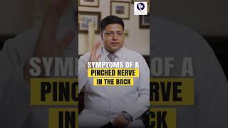 Symptoms Of A Pinched Nerve In The Back  Dr sidharth Verma shortsfeed [upl. by Alleda756]