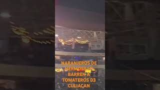 NARANJEROS VS TOMATEROS EN HERMOSILLO SONORA [upl. by Edee]