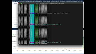 Mining zephyr with epyc 7763 on raptorhash hashrate xmrig linux [upl. by Enyala108]