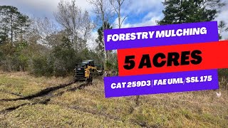 Clearing 5 acres in Florida with Forestry Mulcher for new home build  Tree Shop [upl. by Atikat157]