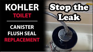 Kohler Toilet Leaking Canister Flush Valve Seal Replacement Instructions [upl. by Wightman810]