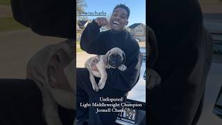 Boxing amp Boerboel Former Undisputed Champion jermellcharlo with his Savage miketyson jakepaul [upl. by Hitt]