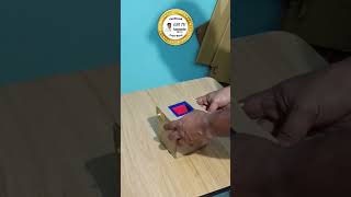 How to Make Savings Money Bank Box at Home  Easy Money Bank box  savingbox moneybankbox coinbox [upl. by Croydon]