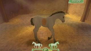 Horsez plezier op de manege pc [upl. by Eenahpets227]