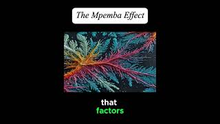 The Mpemba Effect fact factshorts funfact interesting [upl. by Portia]