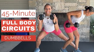 Full Body Strength Cardio amp Abs Circuits [upl. by Ardnait]