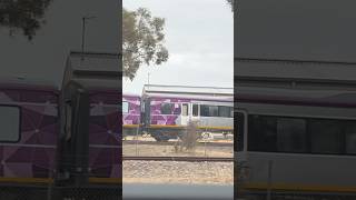 Goolwa depot [upl. by Dermott]