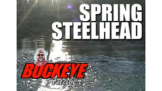 Rocky River Steelhead [upl. by Demmer]