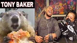 TONY BAKER ANIMAL VOICE OVERS ARE HILARIOUS [upl. by Llenor]