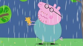 Peppa Pig Nederlands Compilatie Nieuwe Afleveringen  Onweer  Tekenfilm  Peppa de Big [upl. by Osmo]