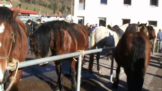 Feria ganadera ProazaAsturias [upl. by Naeruat]