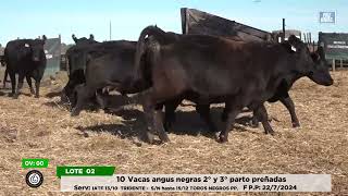 Ov 65 Lote 2 Vaq San Sebastian [upl. by Standing662]