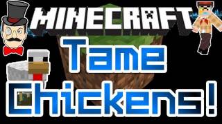 Minecraft Mods  TAME CHICKEN Flying Hat amp Breed Yellow Baby Chicks Mod [upl. by Guenna908]