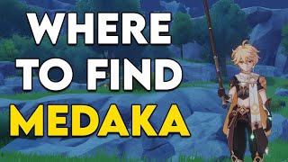 Where to catch Medaka Fish in Genshin Impact  Medaka Fishing Spots [upl. by Arimihc]