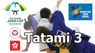 Cadet European Judo Cup Bielsko Biała 21 05 2017 Tatami III [upl. by Gurl]