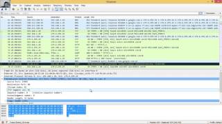 9216 Lab  Using Wireshark to Observe the TCP 3Way Handshake [upl. by Nylteak]