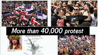 More than 40000 protest New Zealand Maori rights bill [upl. by Wehttan567]