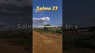 Salmo 23 reflexão gratidão [upl. by Defant]