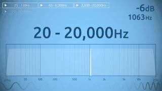 20  20000 Hz Audio Sweep  Range of Human Hearing [upl. by Adieno506]