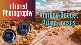 Infrared with Vintage Budget Prime Lenses [upl. by Ihab688]