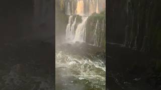 Iguazu Falls🏞️ beautiful waterfall in🌍 ArgentinaBrazil shorts [upl. by Aiotal798]