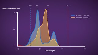 NovaFluor Dyes for Flow Cytometry [upl. by Germann147]