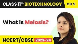 Meiosis  Cellular Processes  Class 11 Biotechnology Chapter 5  CBSE 202425 [upl. by Nauqit]