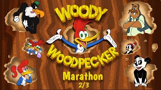 Woody Woodpecker Marathon Part 23  Woody Woodpecker [upl. by Comethuauc276]