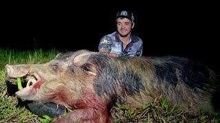 Catching the BIGGEST Pig of My Life [upl. by Ewald]