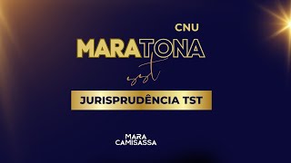 MARAtona SST  Jurisprudência TST [upl. by Aizitel861]