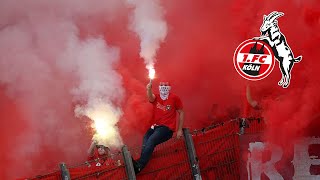 FC Köln Ultras BEST MOMENTS  Wilde Horde amp Coloniacs Highlights [upl. by Icram]