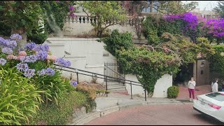 LOMBARD STREET  The Crookedest Road sanfrancisco street [upl. by Terrel431]