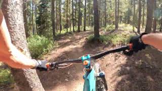 Mountain Biking west magnolia Nederland Colorado [upl. by Jolee100]