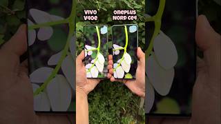 Vivo V40e vs Oneplus Nord Ce 4 Camera Test vivov40e oneplusnordce4 comparison shotrs [upl. by Harpole]