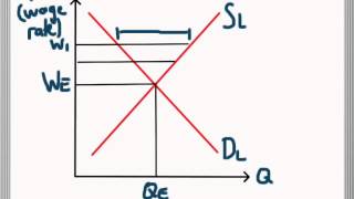 Labour Market Equilibrium  Excess Supply and Demand for Labour [upl. by Elmer]