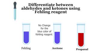 How to Differentiate Between Aldehydes And Ketones Fehlings and Tollens reagents [upl. by Cannice]