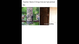 Things that are highpitched roomieofficial shorts funny memes [upl. by Zwiebel]