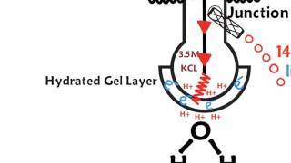 How a pH meter works [upl. by Eniarda]