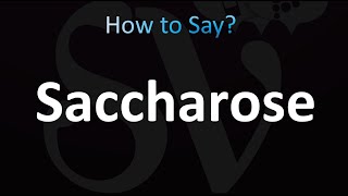 How to Pronounce Saccharose CORRECTLY [upl. by Eliades35]