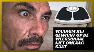 De Weegschaal Gaat Niet Meer Omlaag Wat Moet Je Doen Om Je Vetpercentage Verder Te Verlagen [upl. by Annaya142]