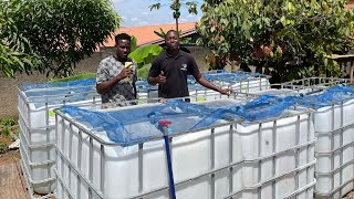 23 Minutes Pour Réussir Votre Projet De Pisciculture Horssol En Afrique  Formation Pratique [upl. by Assirral]